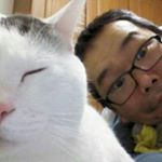 12070813_1632023813731543_483436934_a