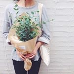 12940778_1624729804515593_1748285045_a