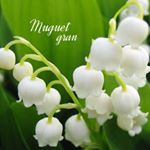 10005663_897736233630323_555062427_a