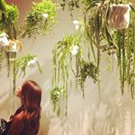 11939285_938556699594460_975759997_a