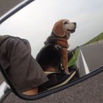 12531045_1726895644201203_486815121_a