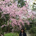 12519519_1690263227902587_1500524495_a