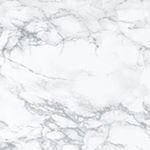 12071138_1670755849833815_730552515_a