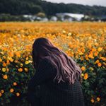 12547612_1563811057272398_1880891875_a