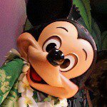 11201582_683328248470562_1026903326_a