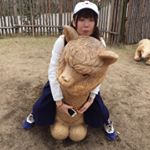 12501869_1743988979152455_369437576_a