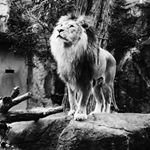 12393744_528342487330471_955808975_a