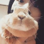 12930898_1738917069698488_417508007_a