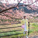 12783361_443417749189981_123209112_a