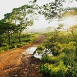 918216_741422929290576_455919278_a