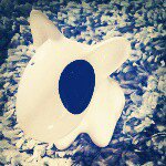 10919679_367992246718467_2058429228_a