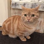 12530953_478209039038737_1827012014_a