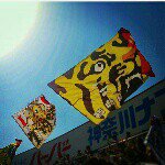 10598573_601424479969540_89344934_a