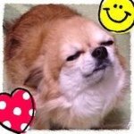 10453990_579005252197516_844841827_a