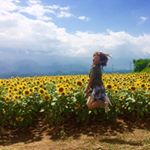 11375274_1461818917457538_1423958284_a