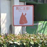 12905178_1276776095670471_1072914212_a