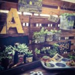 10448999_801934056511923_290830072_a