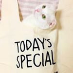 12383678_1546702585624240_1955223547_a