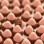 11374288_997860303604217_1694558329_a