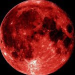 11208251_468600126649512_682787701_a