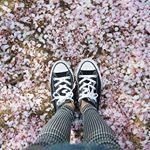 12930802_229137720778931_94832064_a