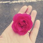 12446260_1663862953883691_1035802171_a