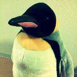 11363929_767382903371389_1090358919_a