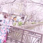 12935039_538728112974835_386868648_a