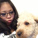 12818886_448094955380003_1357617739_a