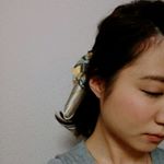 12912732_843521299092906_721458228_a