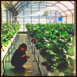 11007995_334139076781800_1783457848_a