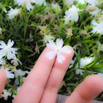 13117980_589793211197732_60016141_a