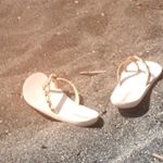 11311588_424815767722703_2032421635_a