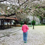 11137959_1558855371047710_95053051_a