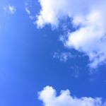 13109019_220595881655251_491872962_a