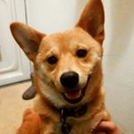 12797706_1701456100098864_2082308081_a