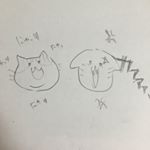 12950234_766297983507002_1139875744_a