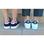 12356528_1689608337992644_992111925_a