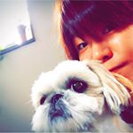 12063272_770654686414334_1231533674_a