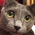 12383199_475145606024556_1695863449_a