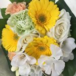 12230981_234696530216776_470226189_a