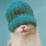 13126741_595561650598986_1512124858_a