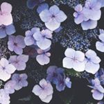 12965661_1071652976239441_156369749_a