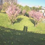 12918673_1550553998571845_984279228_a