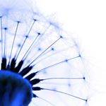 12328229_1717853898430653_239831902_a