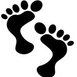 11356586_809831912459876_1010161322_a