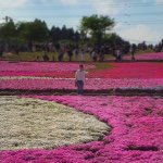 11380756_112158362453890_594574602_a