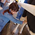 10723968_1642174759357936_483289359_a