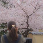 12918043_2003760083183417_470024712_a