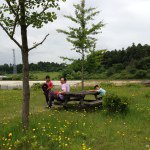 11249438_855352161247124_1163382091_a